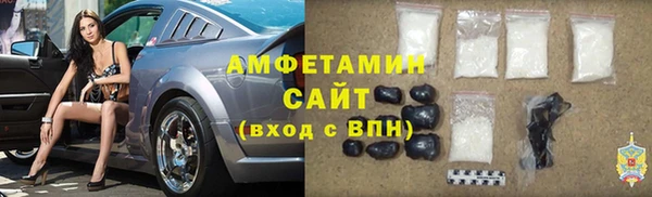 шишки Беломорск