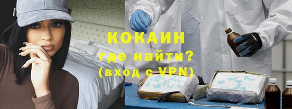 шишки Беломорск