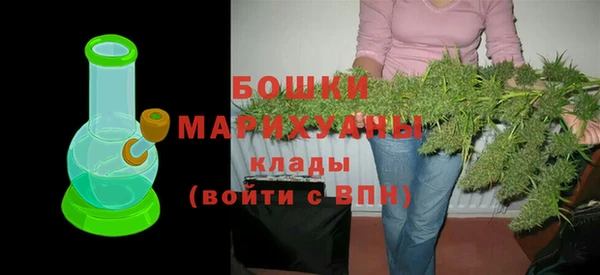 шишки Беломорск
