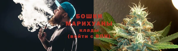 шишки Беломорск