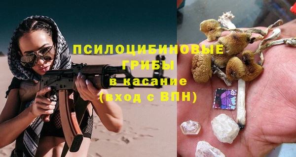 МДПВ Билибино