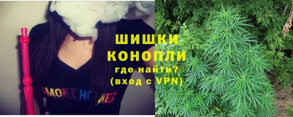 шишки Беломорск