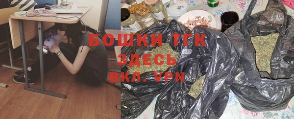шишки Беломорск