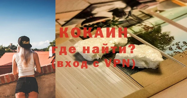 шишки Беломорск