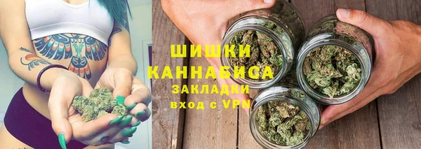 МДПВ Билибино