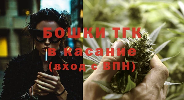 шишки Беломорск
